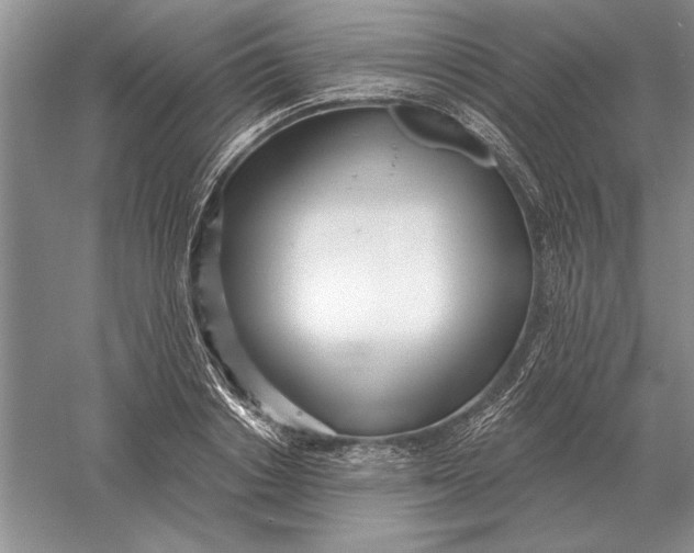 X0000056010842200509092110
