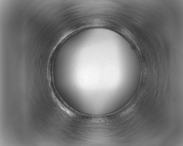 X0000056010843200509092110