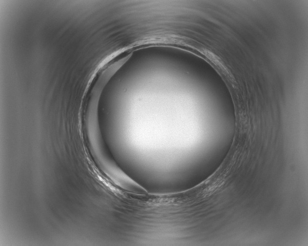 X0000056010846200509092110
