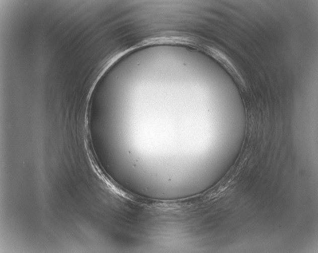 X0000056010852200509092110