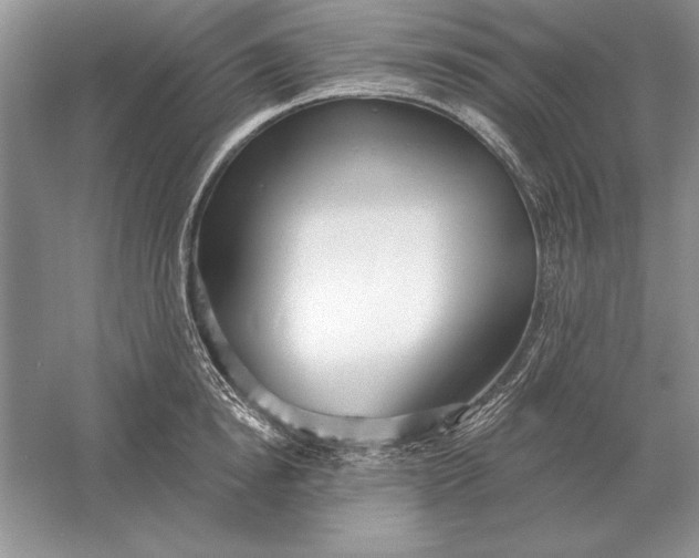 X0000056010854200509092110