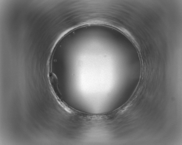 X0000056010862200509092110