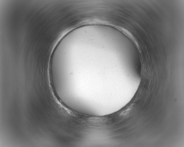 X0000056010863200509092110