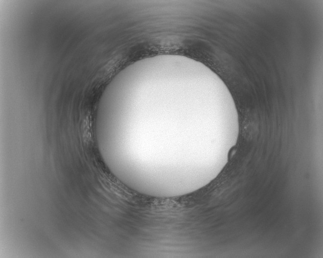 X0000056010866200509092109