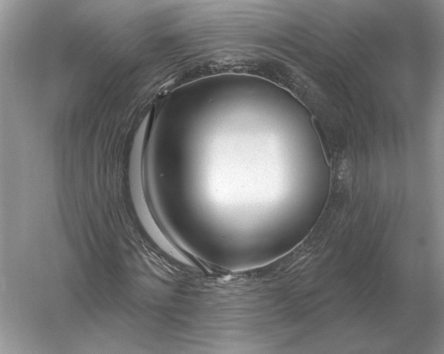 X0000056010868200509092109