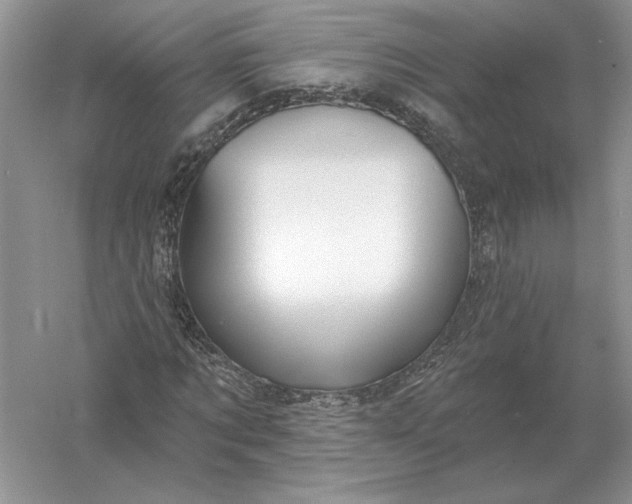 X0000056010869200509092109