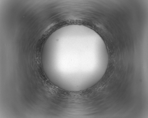 X0000056010870200509092109
