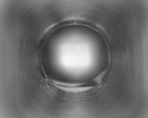 X0000056010872200509092109