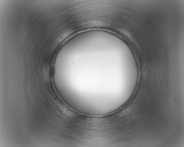 X0000056010873200509092109