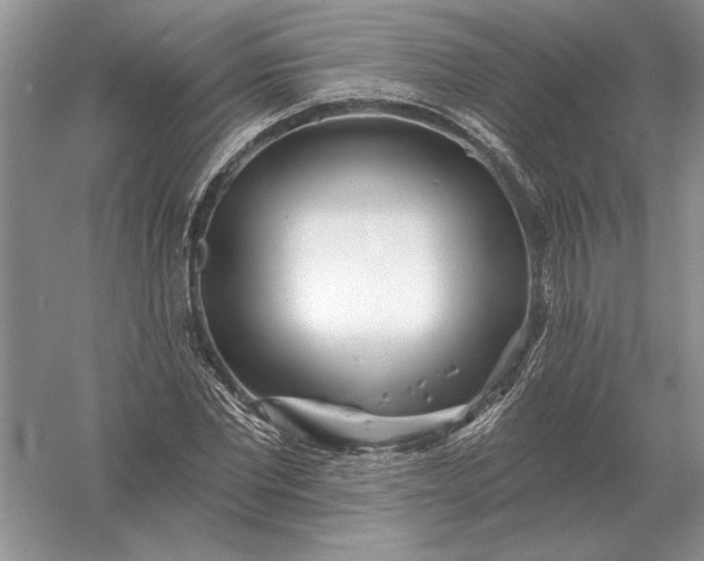 X0000056010877200509092109