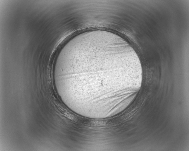 X0000056010878200509092109