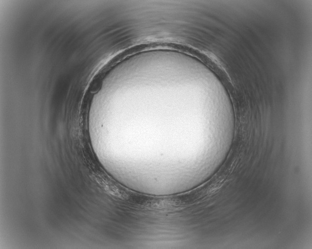 X0000056010879200509092109