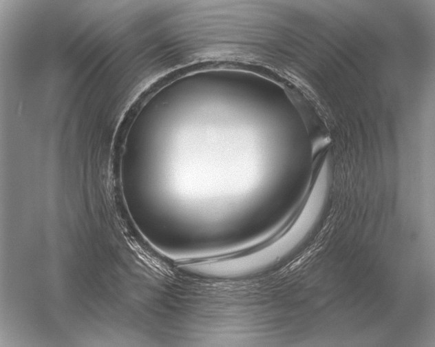 X0000056010880200509092109