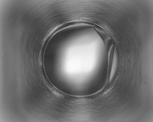 X0000056010885200509092109