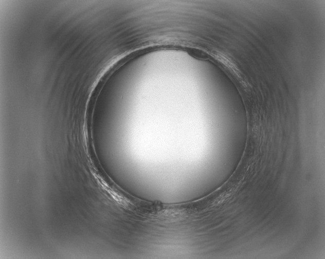 X0000056010888200509092109