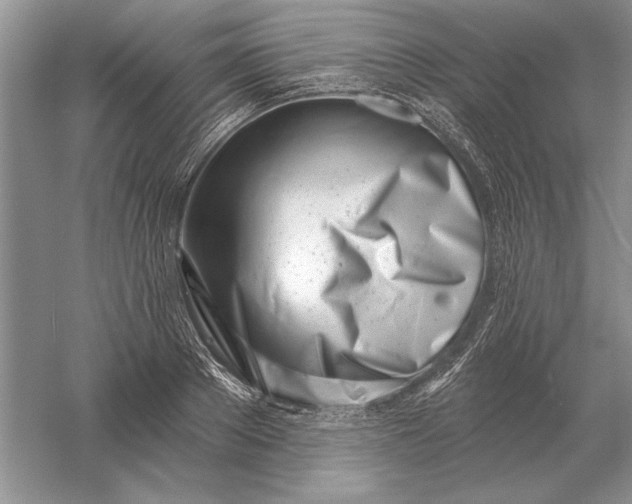 X0000056010889200509092109