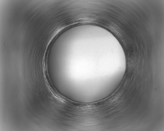 X0000056010891200509092109