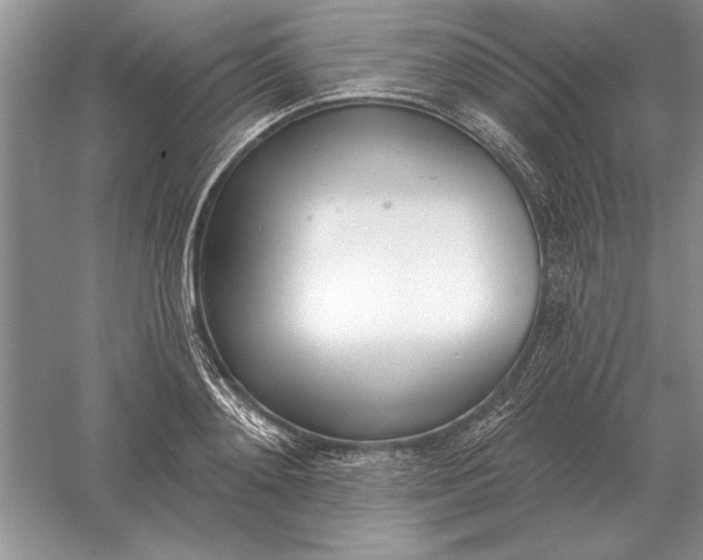 X0000056010892200509092109