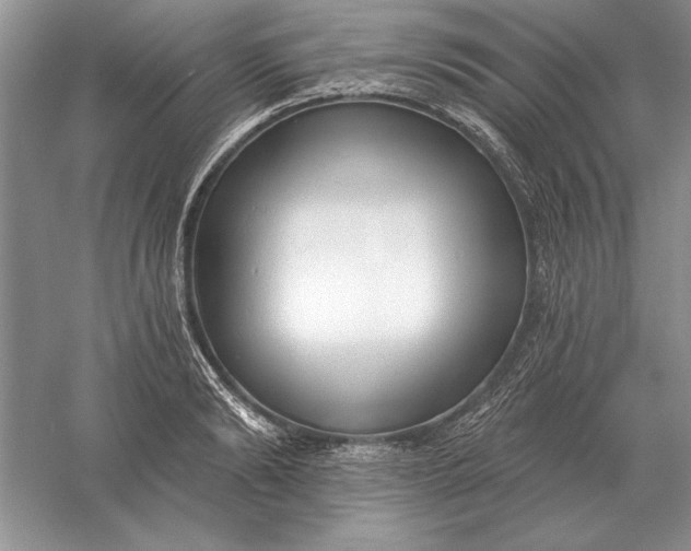 X0000056010894200509092109