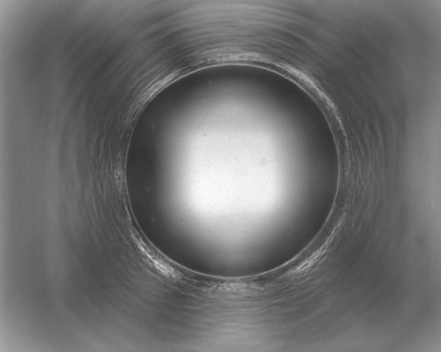 X0000056010897200509092109
