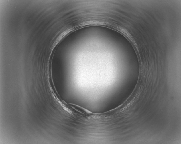 X0000056010898200509092109