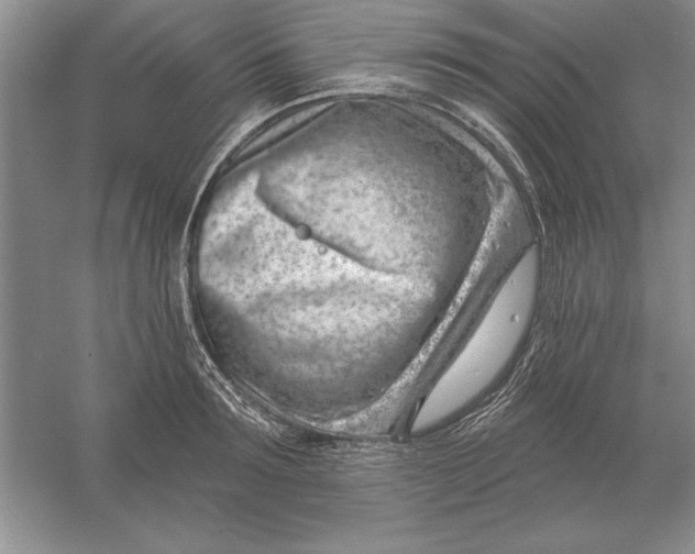 X0000056010899200509092109