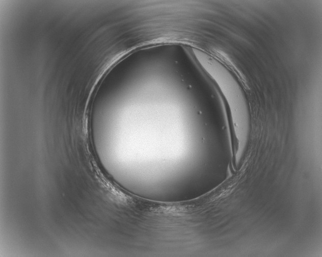X0000056010900200509092109