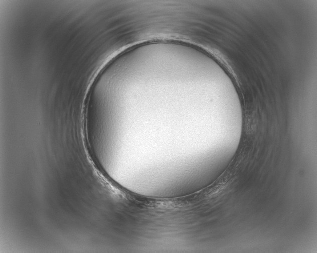 X0000056010903200509092109
