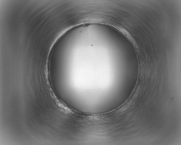 X0000056010904200509092109