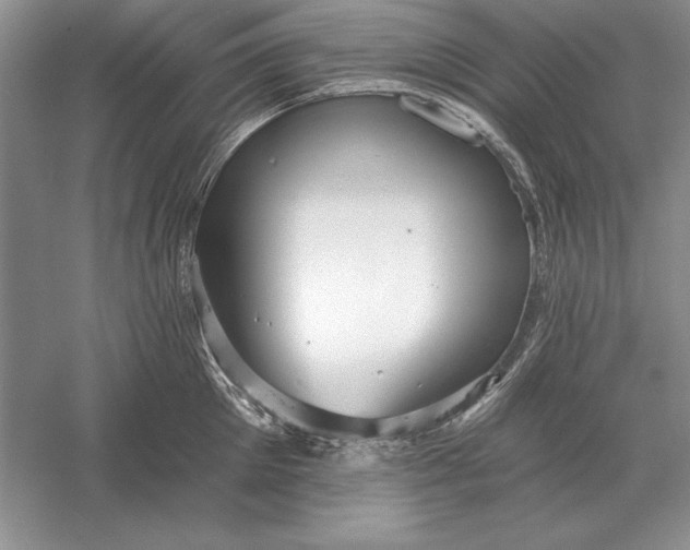 X0000056010905200509092109