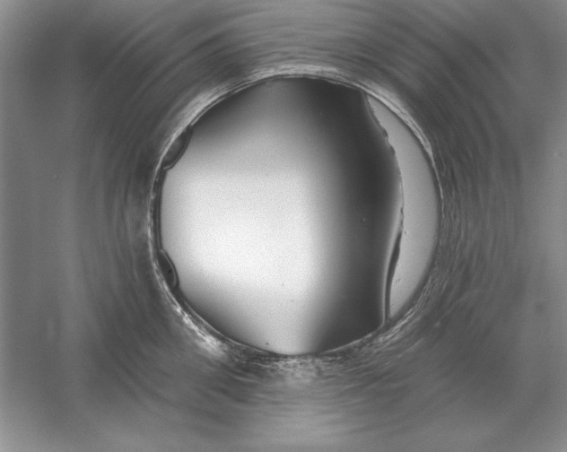 X0000056010906200509092109