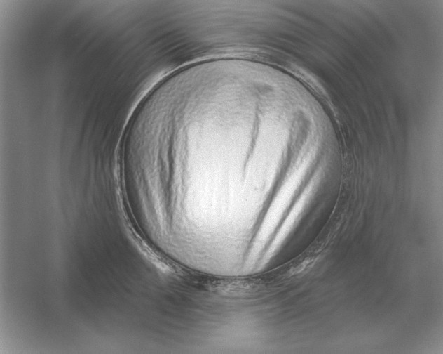 X0000056010907200509092109