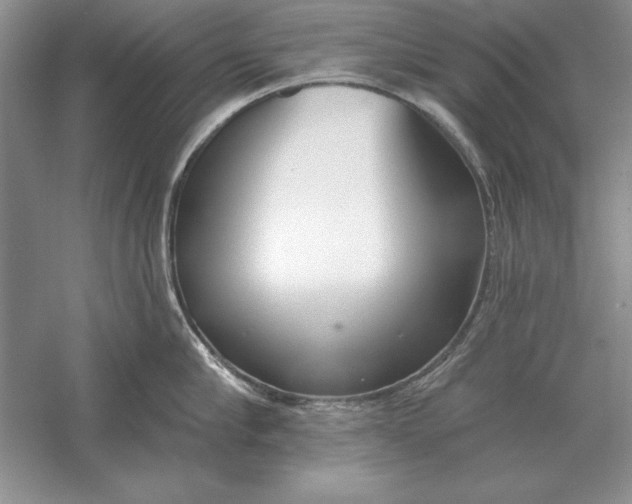 X0000056010910200509092109