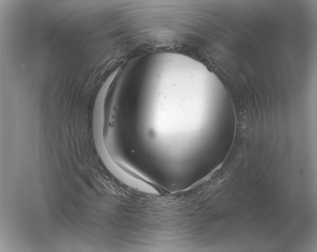 X0000056010916200509092108