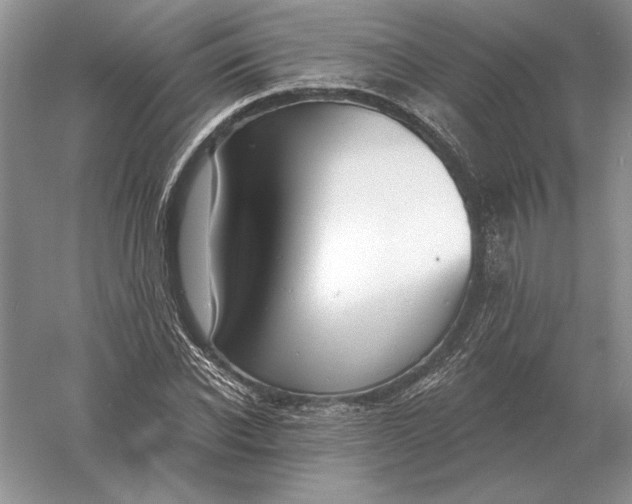 X0000056010926200509092108