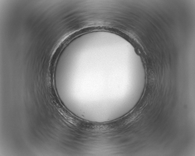 X0000056010927200509092108