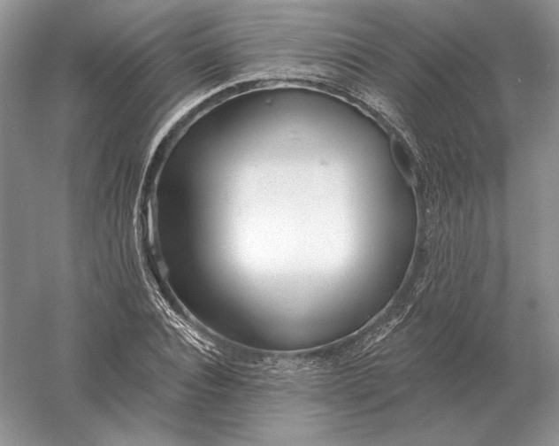X0000056010928200509092108