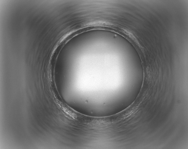X0000056010931200509092108