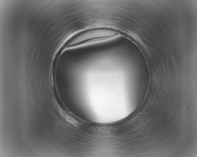 X0000056010934200509092108