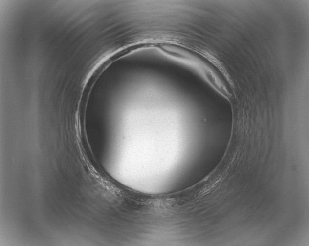 X0000056010936200509092108