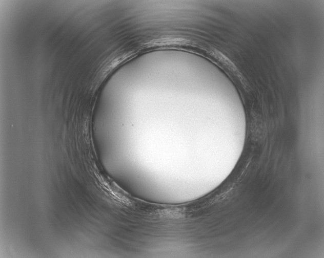 X0000056010937200509092108
