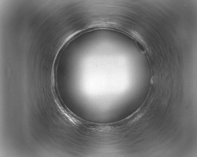 X0000056010940200509092108