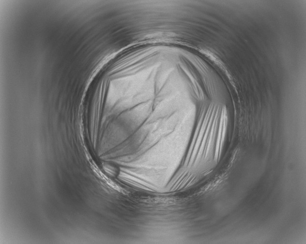 X0000056010941200509092108