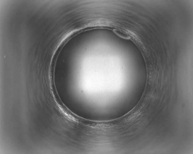 X0000056010942200509092108