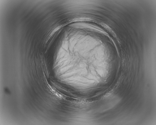 X0000056010945200509092108