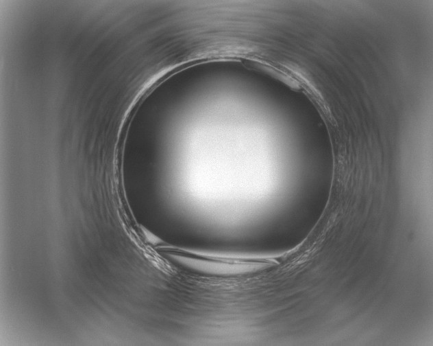 X0000056010948200509092108