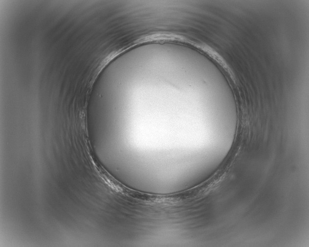 X0000056010953200509092108