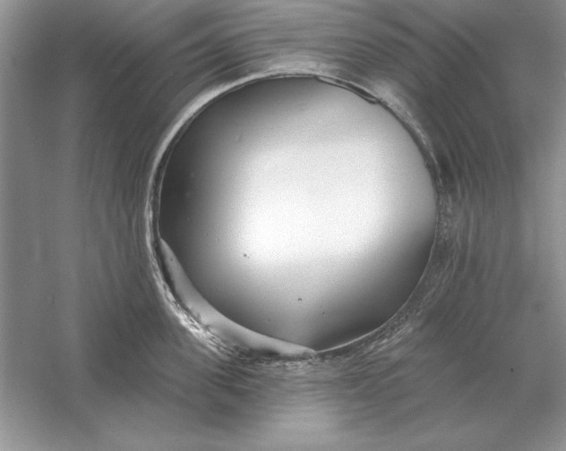 X0000056010955200509092108