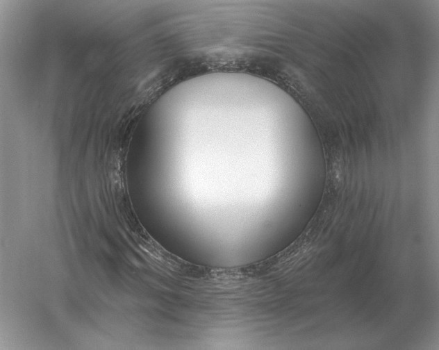 X0000056010964200509092108