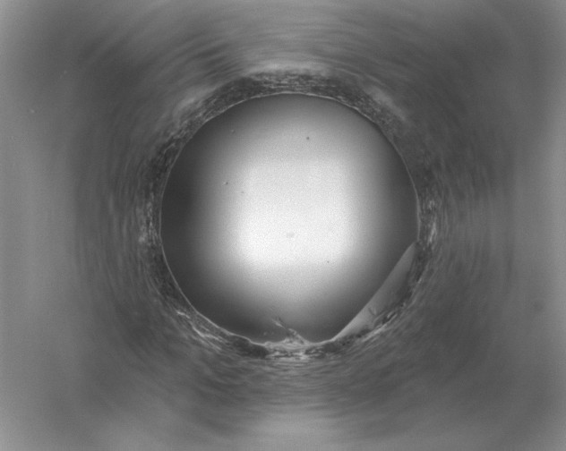 X0000056010965200509092108